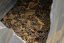Zuo Ruyu Wild Golden Bead 2012 - 18g