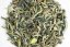 Darjeeling North Tukvar Exotica FF2025 - 50g