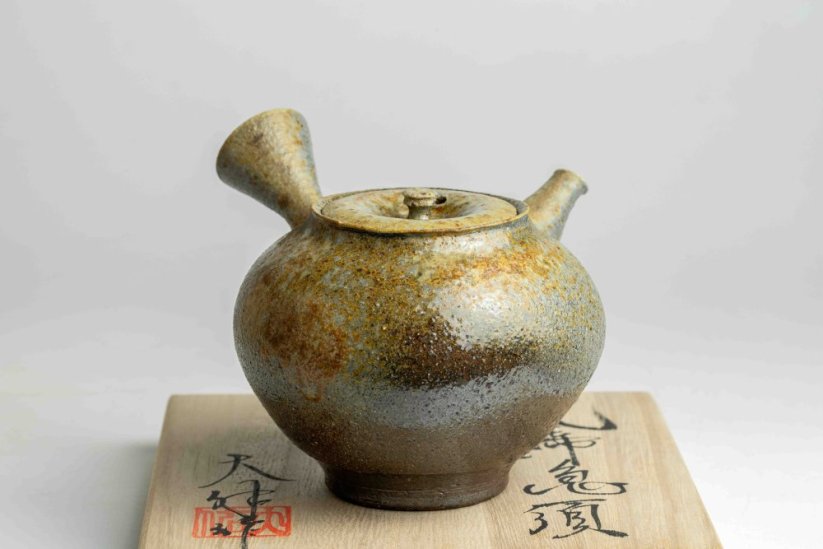 Taisuke Shiraiwa Yohen Kyusu  - 240ml