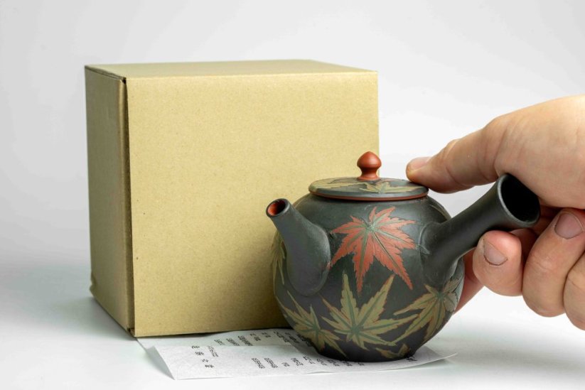 Seiho - Tsuzuki Takao Momiji Kyusu - 280ml