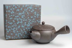Keiichiro Watanabe Kyusu - 230 ml