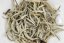 Java High Mountain Platinum Tips 5/2025 - 30g