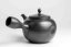 Koshin Kyusu Blackdot - 280ml
