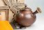 Taisuke Shiraiwa Yohen Kyusu  - 170ml