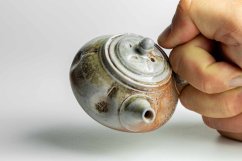 Taisuke Shiraiwa Yohen Kyusu  - 100 ml