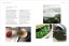 The Tea Sommelier: The Art of Selecting, Pairing and Appreciating the World's Finest Teas