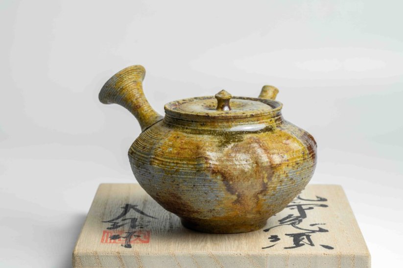 Taisuke Shiraiwa Yohen Kyusu  - 200ml