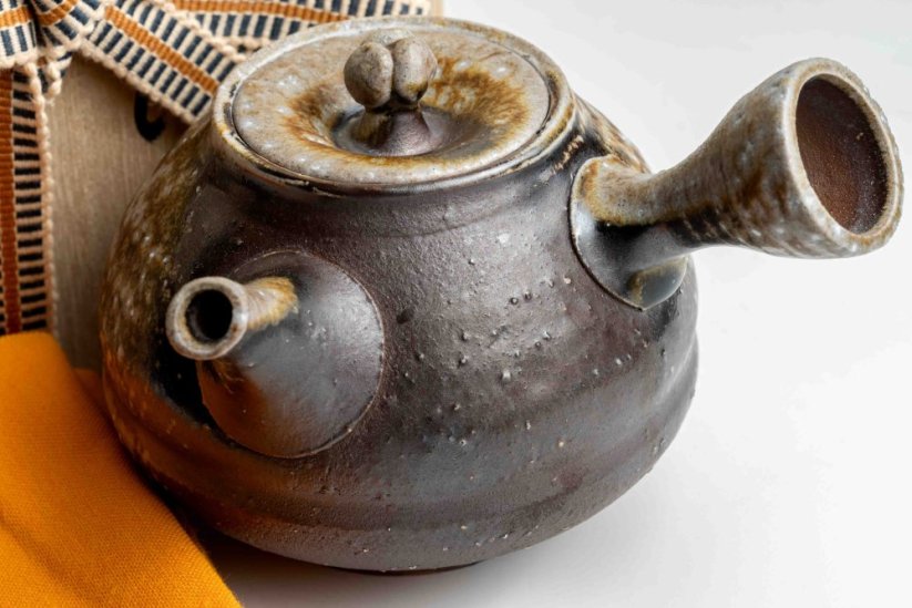 Taisuke Shiraiwa Yohen Kyusu  - 190ml