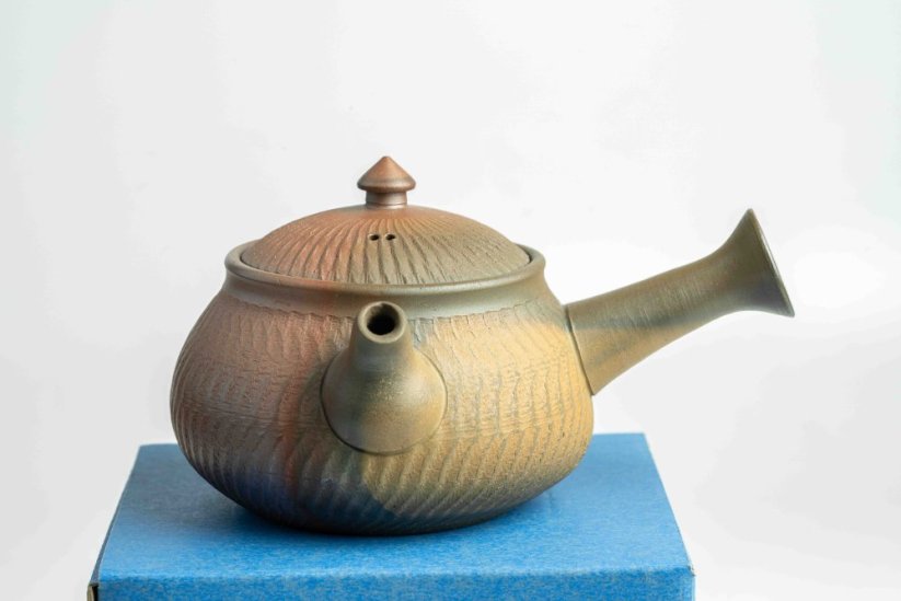 Mori Iroku IV Yohen Kyusu - 150ml