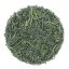 Kagoshima Gyokuro Okumidori 2025 - 50g