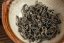 Haibara Koushun Summer Honey 2025 - 30g