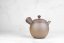 Tomohiro Sawada Kyusu - 260 ml