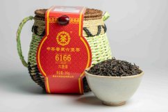 Wuzhou Liu Bao 6166 Gr.1 - 2021/2022