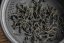 Bihar Doke Black Fusion FF 2026 - Weight: 500g