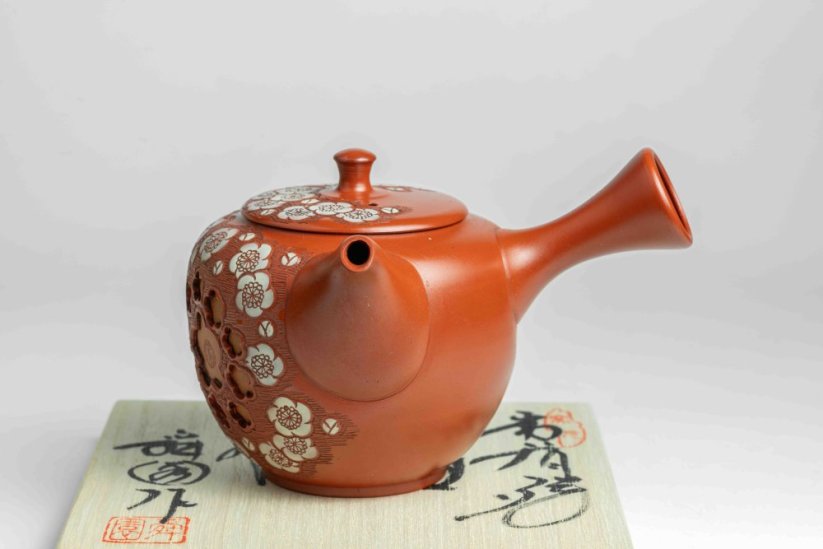 Shunen Mano Double-layer Red Plum Blossom Kyusu - 250 ml