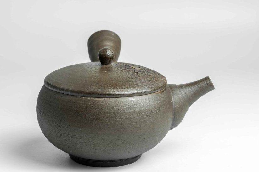 Keiichiro Watanabe Kyusu - 230 ml