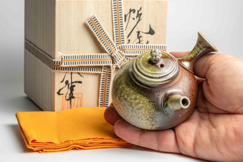 Taisuke Shiraiwa Yohen Kyusu  - 170ml