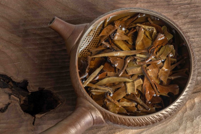 Jinggu Moonlight White Spring 2023 - 6g