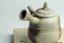 Taisuke Shiraiwa Yohen Kyusu  - 170ml